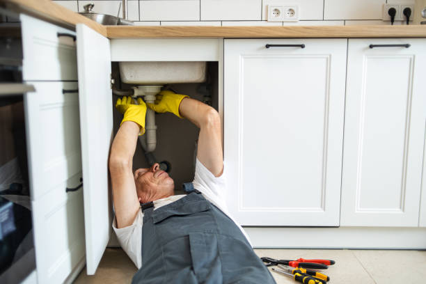 Best Sewer Line Repair  in Springville, AL
